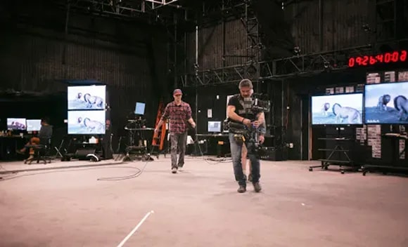 Press Lion King Camera Work
