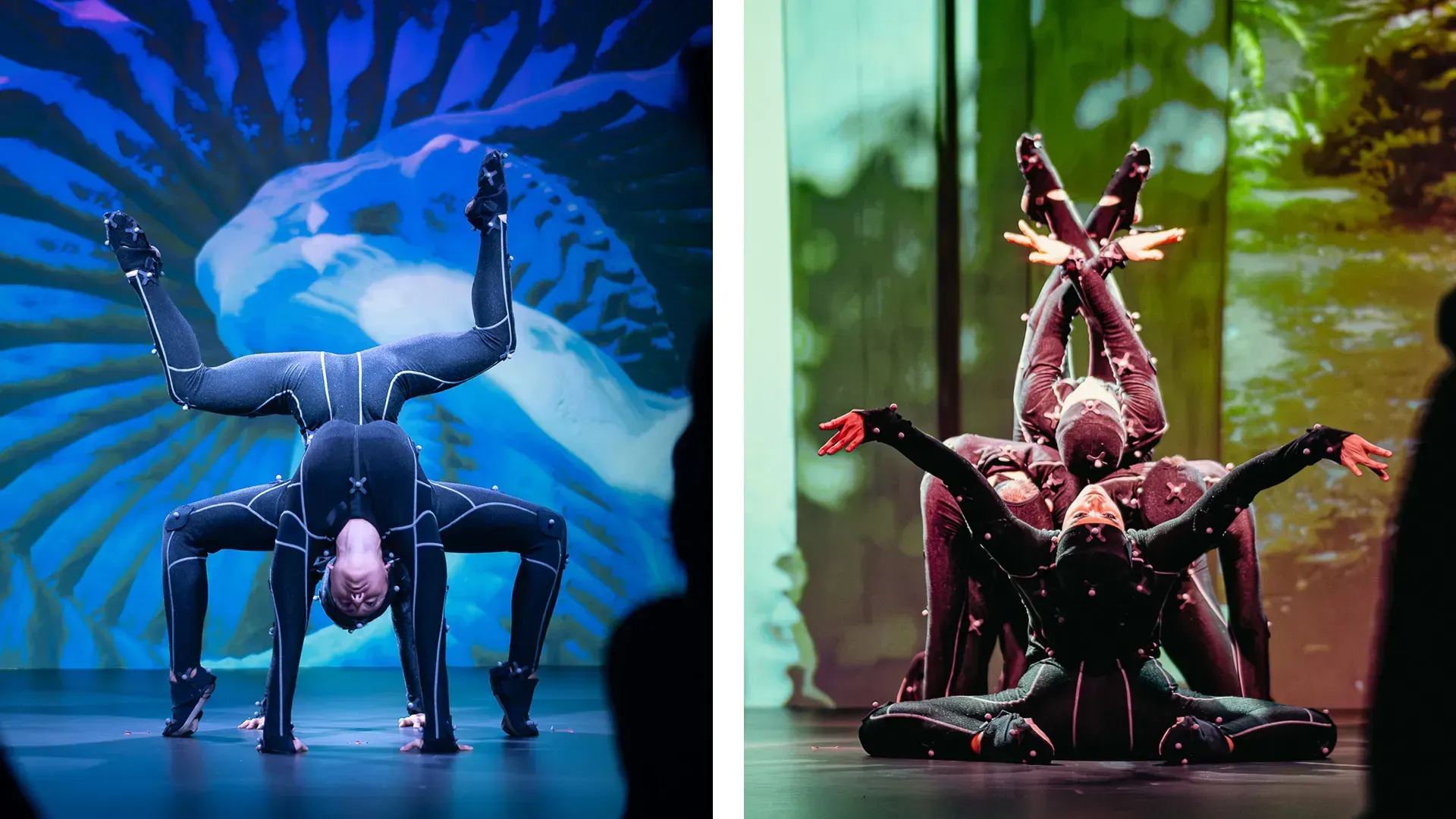 OptiTrack Maquette 02