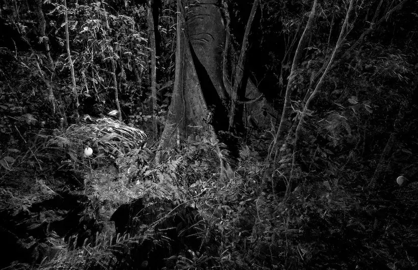 PhantomNewMuseumOptiTrack